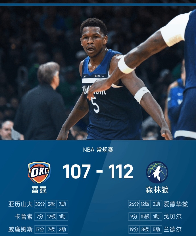 2024掘金vs森林狼回放免费观看完整