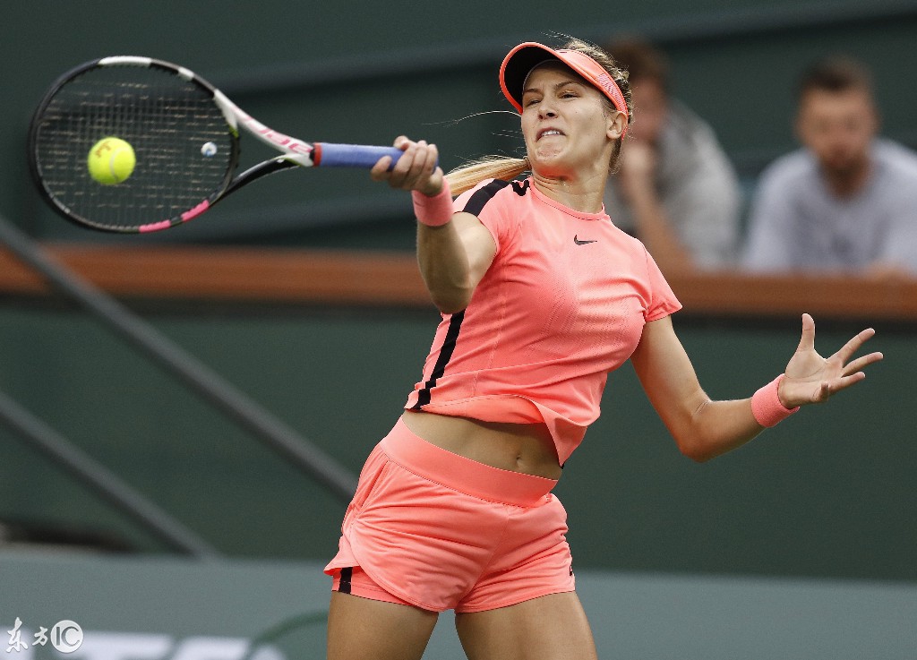 纽卡斯尔足球俱乐部主力阵容